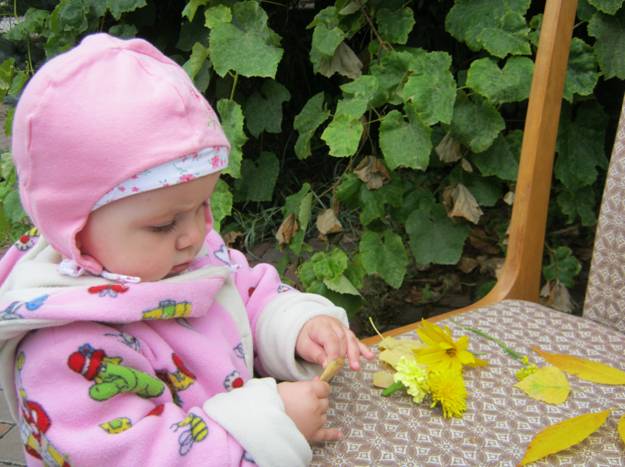 ТД Желтый цвет