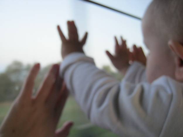 Первая (седьмая) неделя у Бабушки с Дедушкой