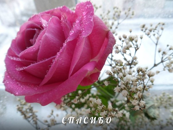 6e393126ef39ac88b65cedc38b7499f8.jpg