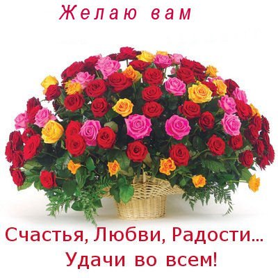 dea12a57969c158b4077cfcdc66f2893.jpg