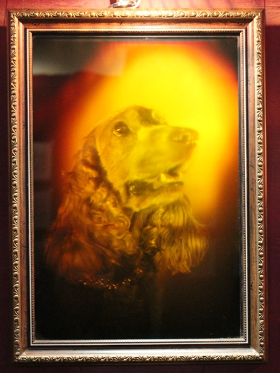 Комиксы Херлуфа Бидструпа