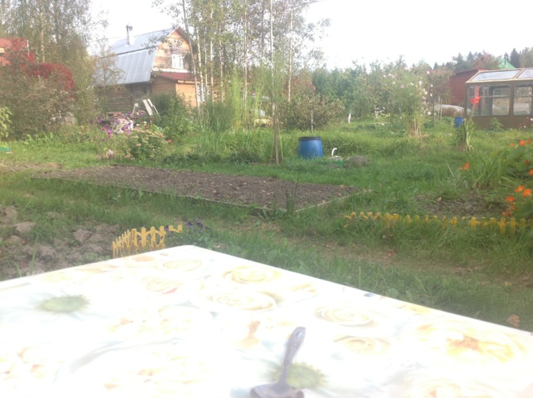 Съездили на дачу!