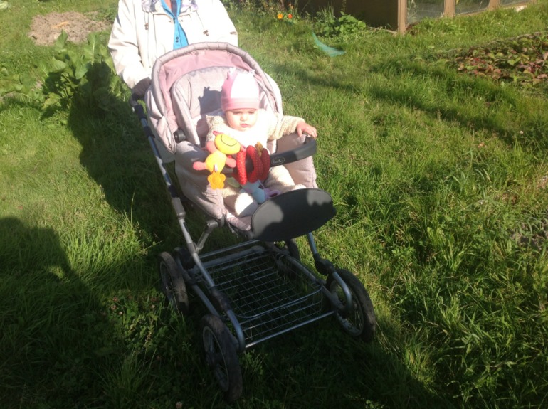 Съездили на дачу!