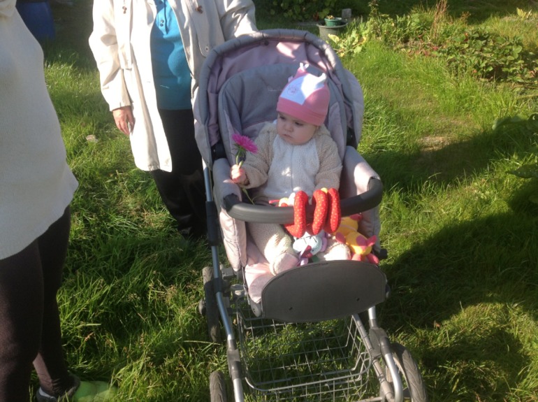 Съездили на дачу!