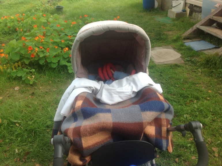 Съездили на дачу!