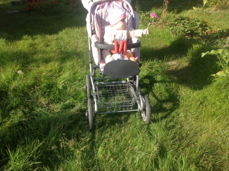 Съездили на дачу!