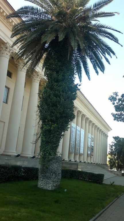 Апрель -Май 2013.Сочи.