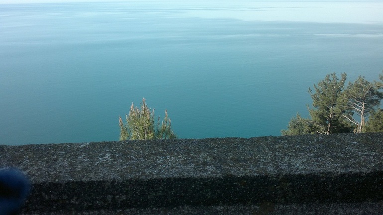 Апрель -Май 2013.Сочи.