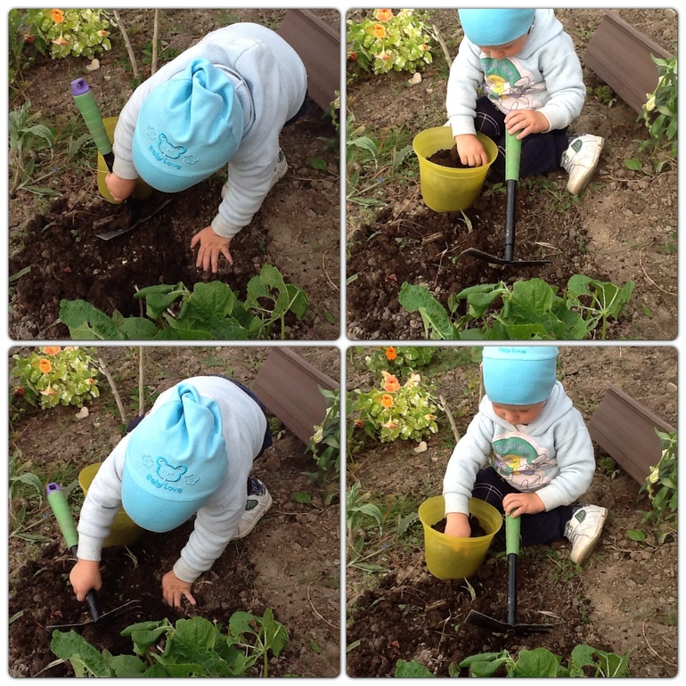 Дети посадили огород. Посадка огорода весной. Посадка овощей на огороде. Посадка грядок в огородах весной. Овощи для посадки на огороде весной.