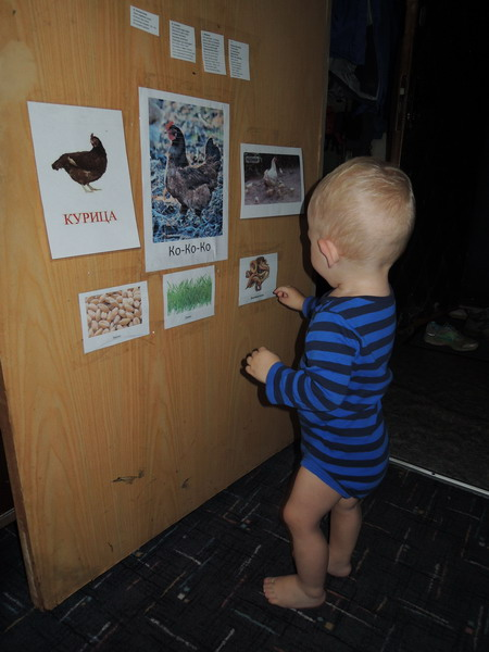 ТН №5 Курица, петух, цыпленок, 1.2г