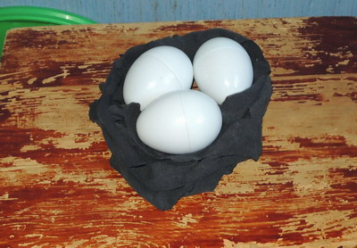 ТН №5 Курица, петух, цыпленок, 1.2г