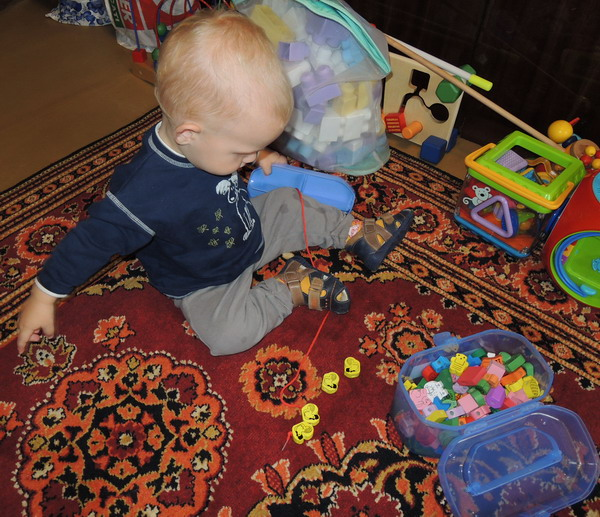 ТН №5 Курица, петух, цыпленок, 1.2г