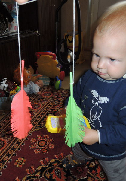 ТН №5 Курица, петух, цыпленок, 1.2г