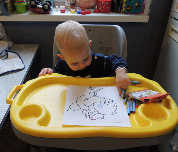 ТН №5 Курица, петух, цыпленок, 1.2г