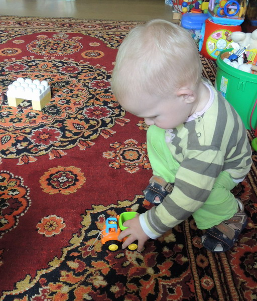 ТН №5 Курица, петух, цыпленок, 1.2г