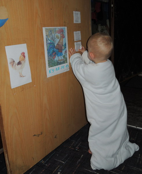 ТН №5 Курица, петух, цыпленок, 1.2г