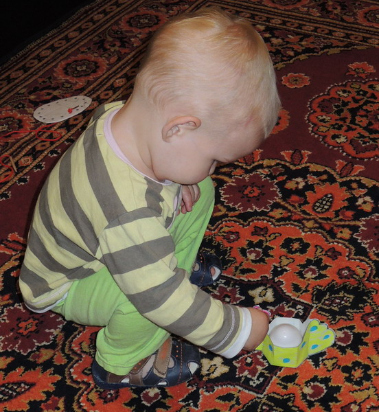 ТН №5 Курица, петух, цыпленок, 1.2г