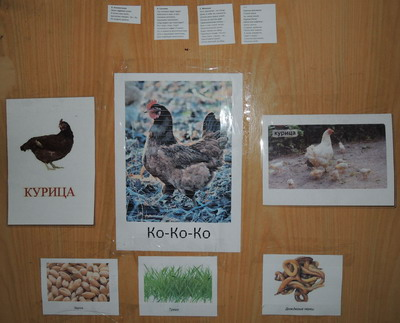 ТН №5 Курица, петух, цыпленок, 1.2г