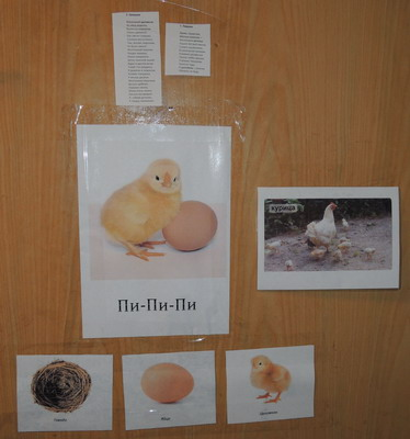 ТН №5 Курица, петух, цыпленок, 1.2г