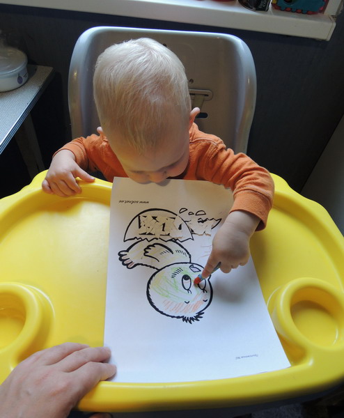 ТН №5 Курица, петух, цыпленок, 1.2г