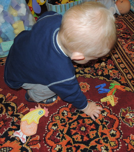 ТН №5 Курица, петух, цыпленок, 1.2г