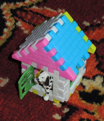 c5b63dc559eecaecbb2d400fdb525391.jpg