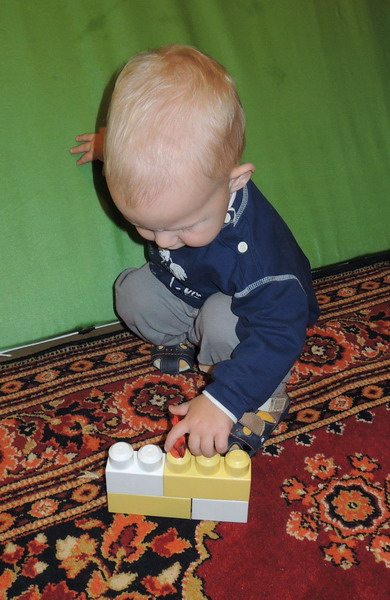 ТН №5 Курица, петух, цыпленок, 1.2г