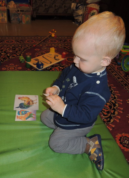 ТН №5 Курица, петух, цыпленок, 1.2г