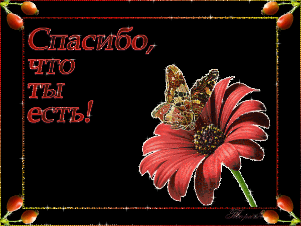 acb647164c25e63716ecc98a89e0ae49.gif
