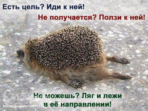 555885a1156590f65e16c100b3aea479.jpg