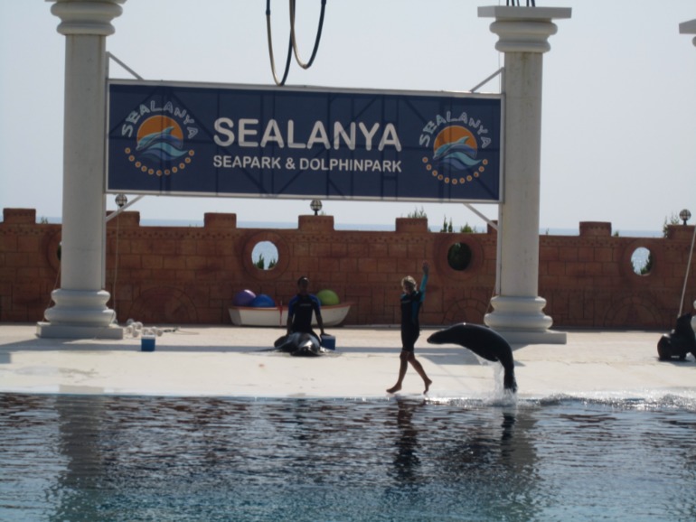 Наш отдых в Аланьи, Турция.