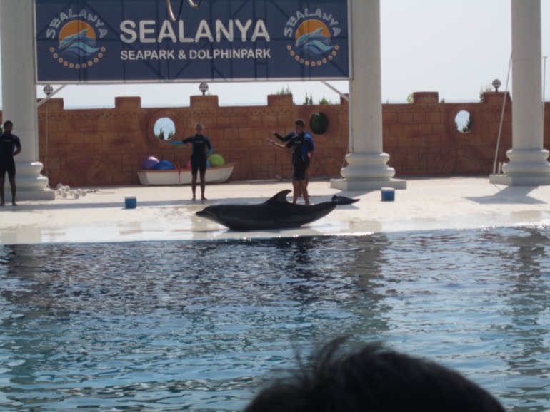 Наш отдых в Аланьи, Турция.