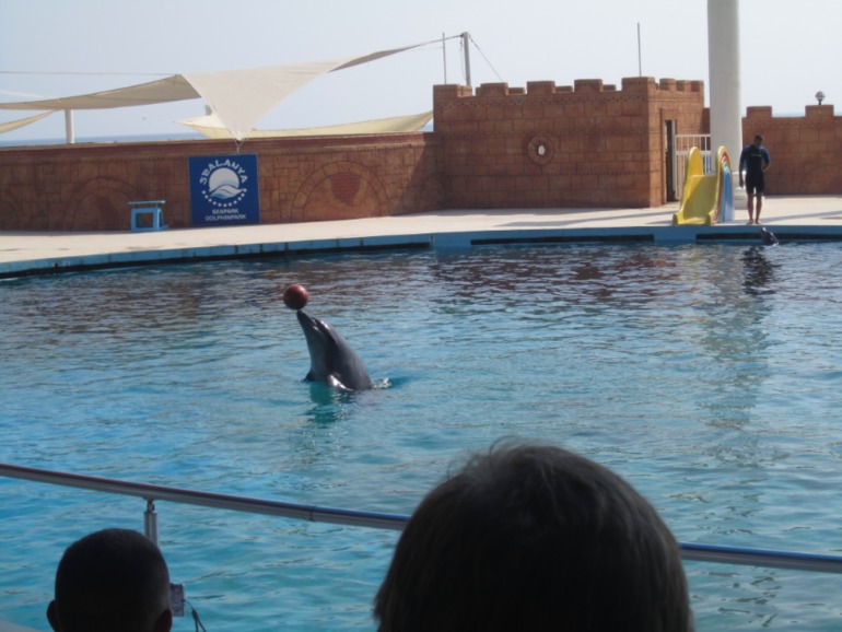 Наш отдых в Аланьи, Турция.