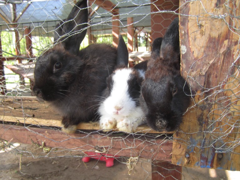 Наш отдых в Аланьи, Турция.