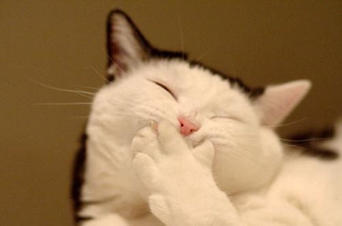 Малышка Лера