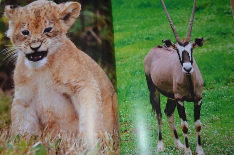 e4ecbcf2f0fb586957b456bdaeaeecbf.jpg