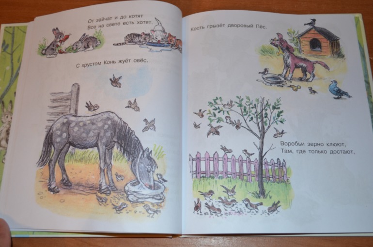 снова книжки