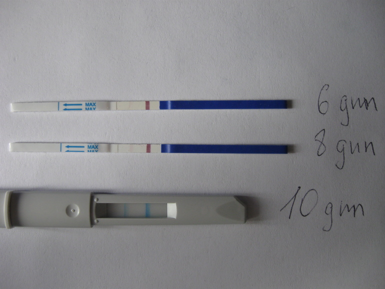 Протокол в КН (Казань)