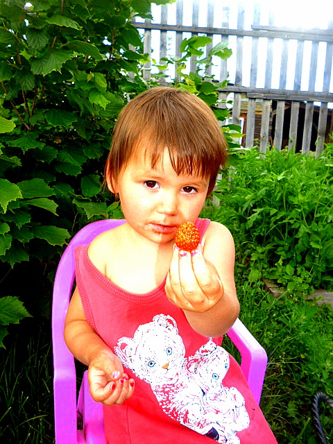 вот и лето прошло....