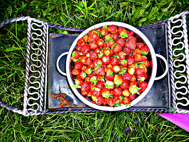 вот и лето прошло....