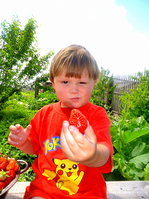 вот и лето прошло....