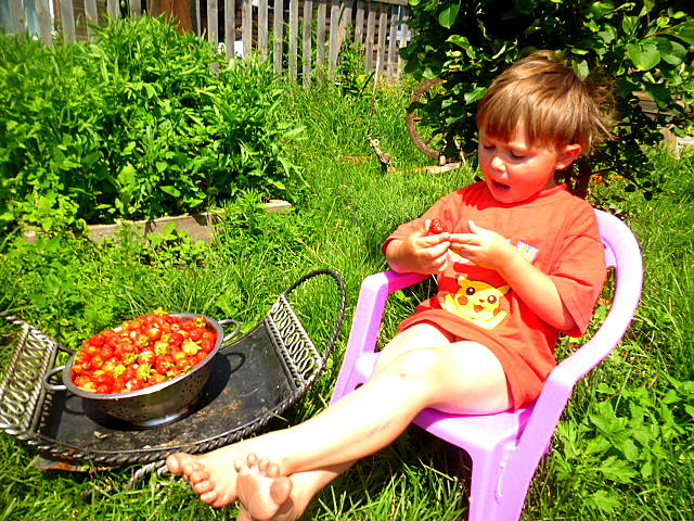 вот и лето прошло....