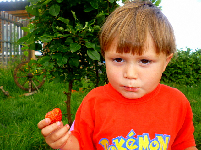 вот и лето прошло....