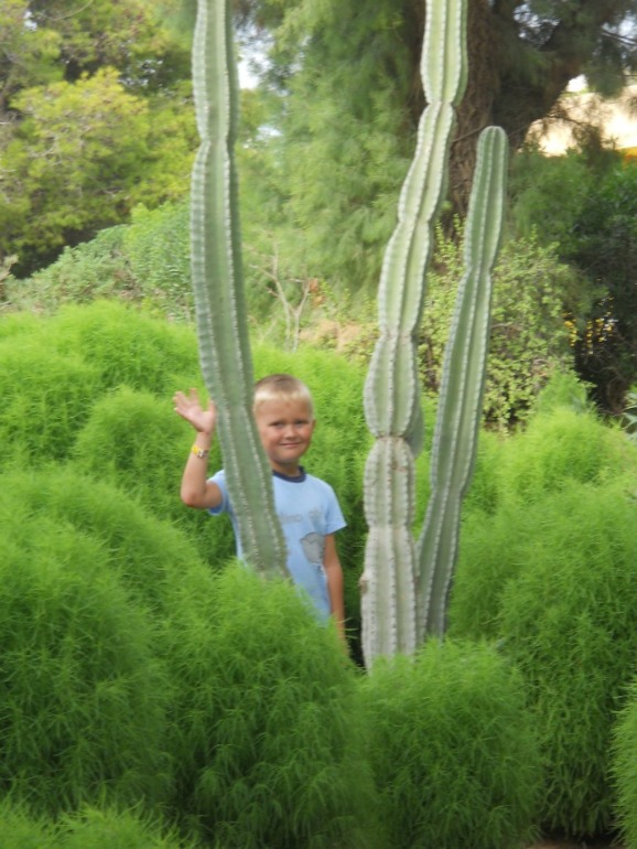 Долгожданное море