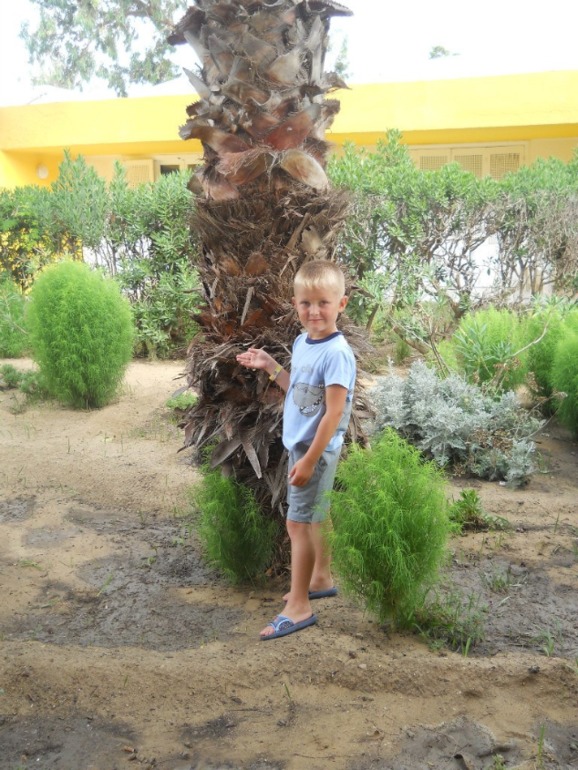 Долгожданное море