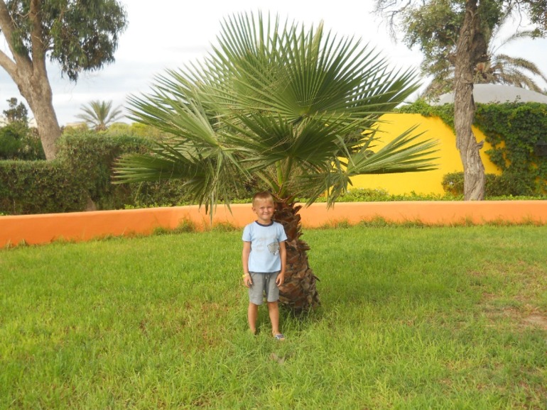 Долгожданное море