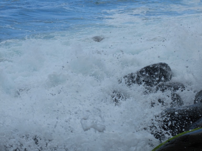 Фото отчет про отпуск мой )))