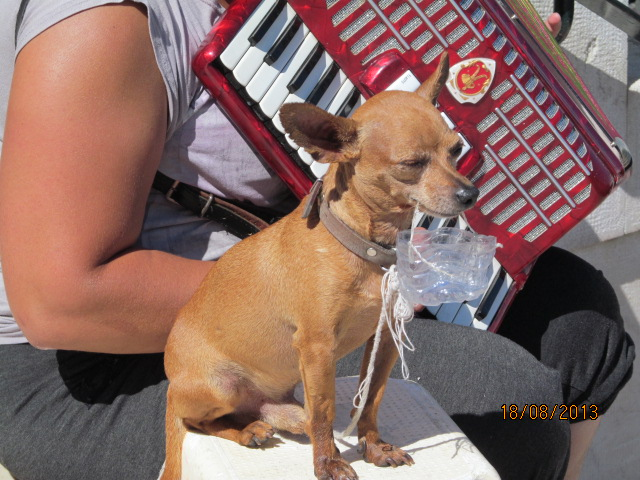 Фото отчет про отпуск мой )))