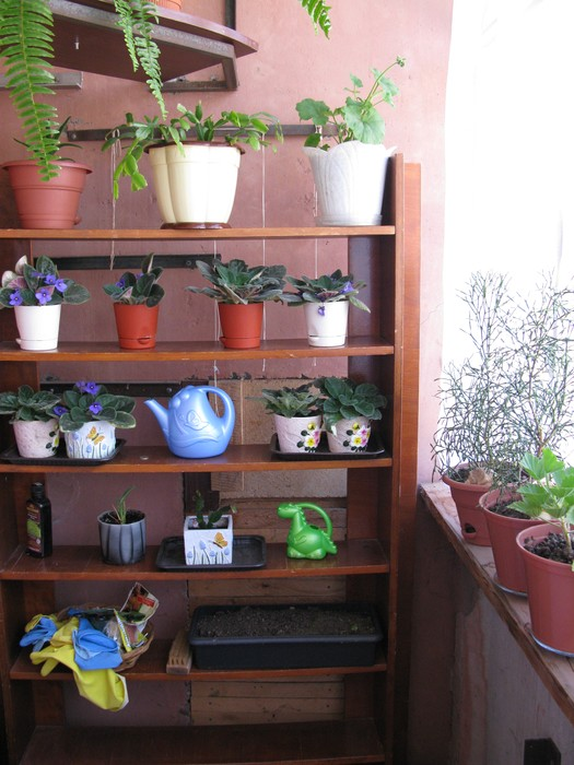 Йошкар-Ола. Часть вторая. Садово-огородно-деревенская...