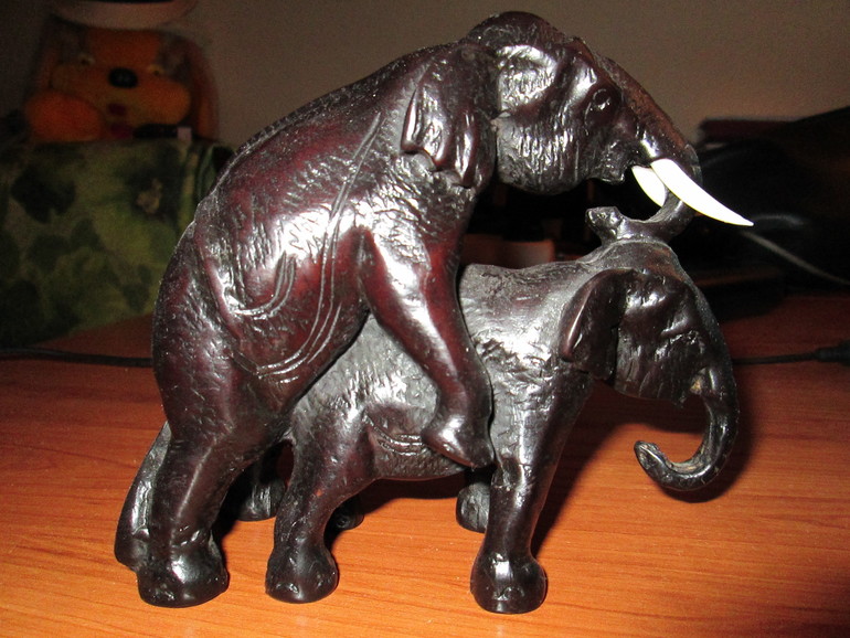 Слоны (люблю)